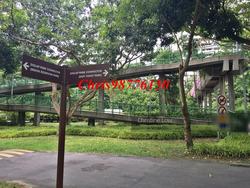 Blk 720 Bedok Reservoir Road (Bedok), HDB 4 Rooms #146860752